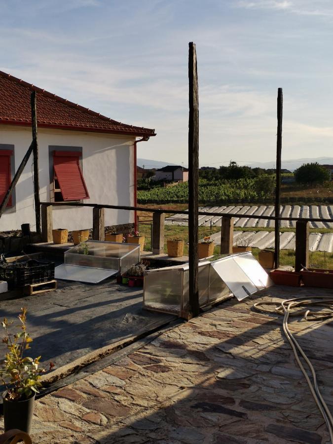 ホテル Casa Da Vinha Grande Poiares エクステリア 写真
