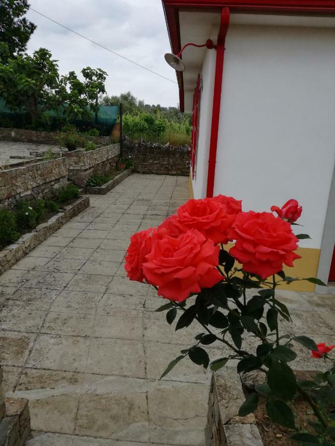 ホテル Casa Da Vinha Grande Poiares エクステリア 写真